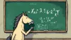 Clever Hans - the horse who could do math