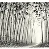 The Bamboo Farmer's Secret