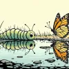 The Butterfly's Soup
